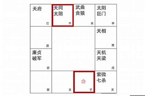 天同|天同入命宫整体运势